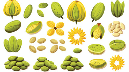 Collection of pistachio sunflower and pumpkin seeds