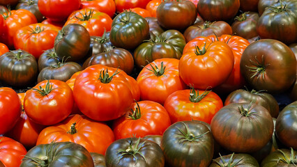 Close up of a display of fresh, ripe tomatoes of different colours; display of shiny, fresh red and dark green tomatoes. Ripe tomatoes as a background..