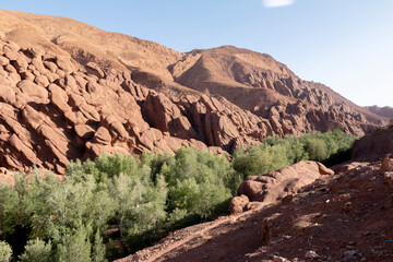 Walking through the middle of the dessert