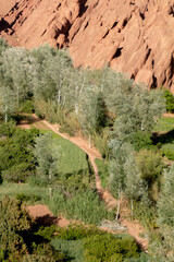 Walking through the middle of the dessert