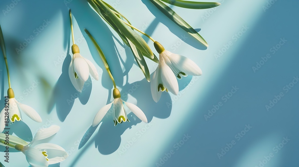 Poster Creative layout made with snowdrop flowers on bright background with frame Spring minimal concept : Generative AI