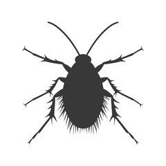 Silhouette lice animal black color only