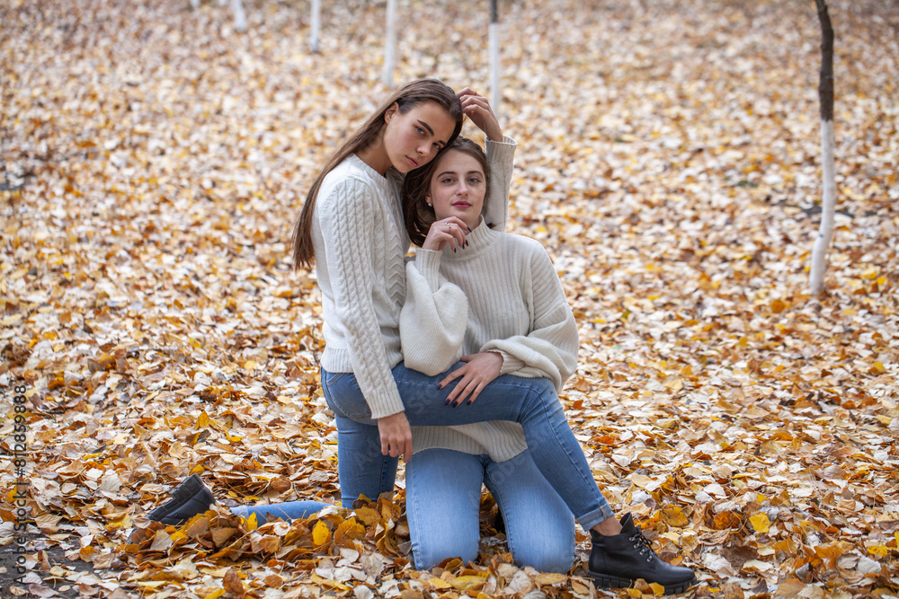 Wall mural Fashion portrait of two girlfriends