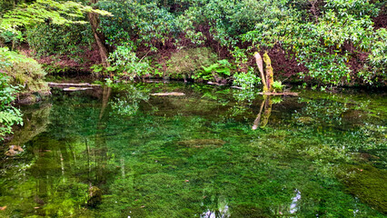 熊本県阿蘇市の池山水源