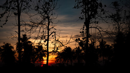silhouette night photography