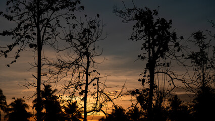 Fototapeta premium silhouette night photography