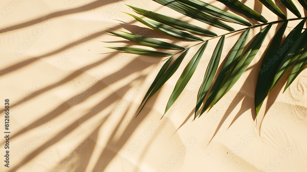 Aufkleber aesthetic palm leaf on shadow on sand background texture copy space minimal summer concept : generat