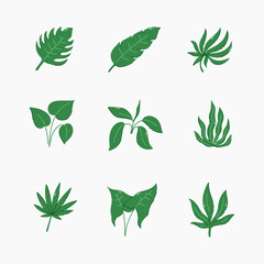 Green leaf hand drawn vector illustration