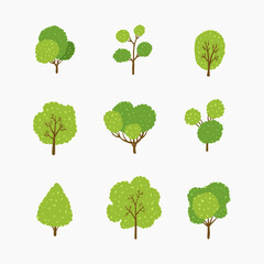 Tree plant hand drawn vector illustration