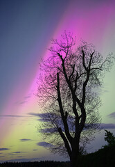 Multi colored Aurora from Southern Scotland on 10 May 2024
