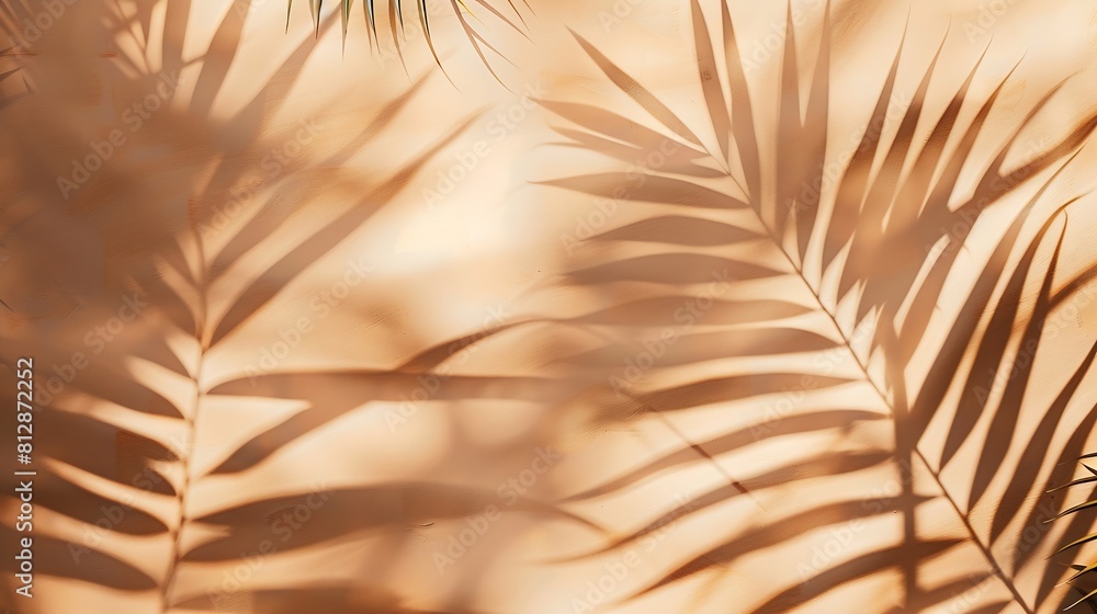 Aufkleber warm brown and beige summer color background with tropical palm shadow two trend pastel paper and ex
