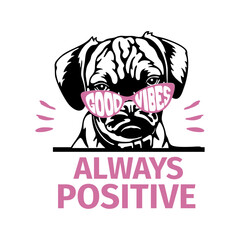 Positive Pug SVG - Good Vibes - Pug shirt - Pug lover owner gift - Pug vector cut files
