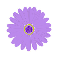 Purple Flower Isolated On White Background. Vector Illustration