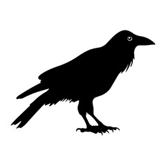 Obraz premium raven crow silhouette Flat Icon vector illustration Clipart