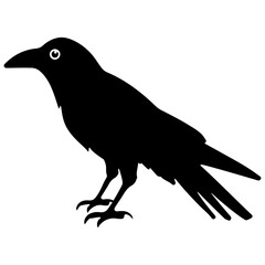 Obraz premium raven crow silhouette Flat Icon vector illustration Clipart