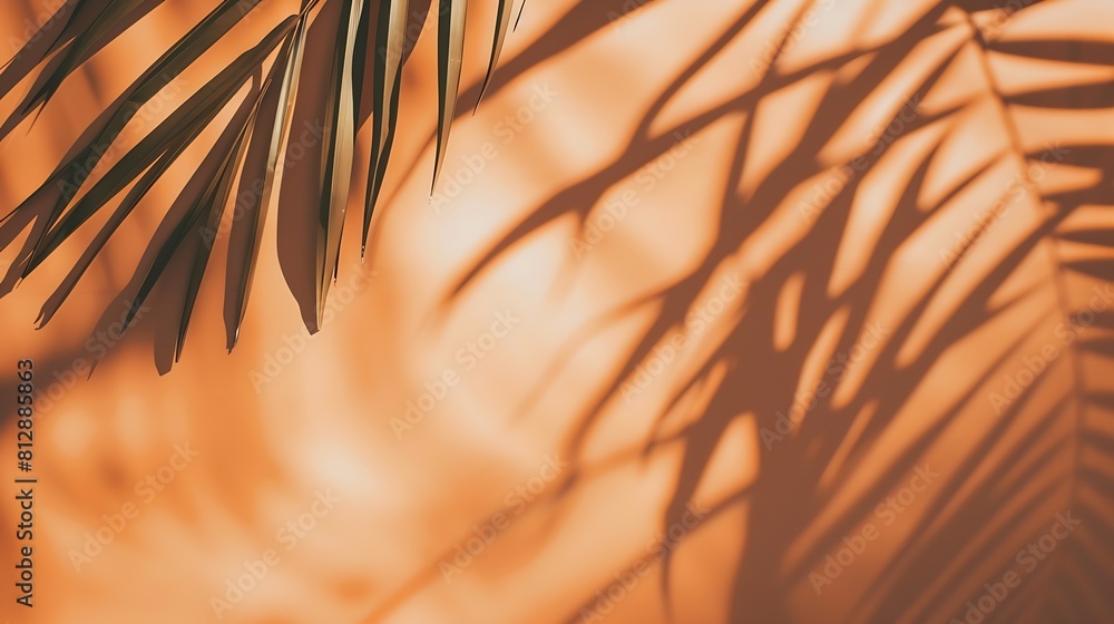 Aufkleber warm orange and beige summer color background with tropical palm shadow two trend pastel paper and e