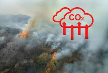 Wildfires in tropical forest release carbon dioxide (CO2) emissions and other greenhouse gases...