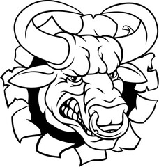 A bull or Minotaur monster longhorn cow angry mean head mascot face cartoon. Tearing through the background. With a ring through their nose.