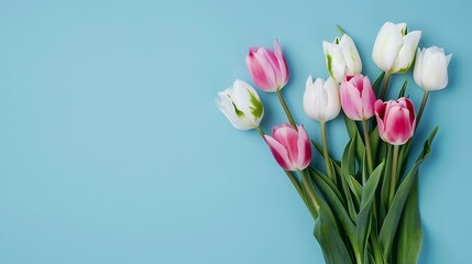 Mothers Day concept Top view photo of bouquet of white and pink tulips on isolated pastel blue background with copyspace : Generative AI