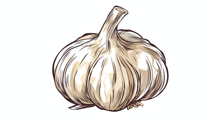 Garlic single clove hand drawn sketch style vector