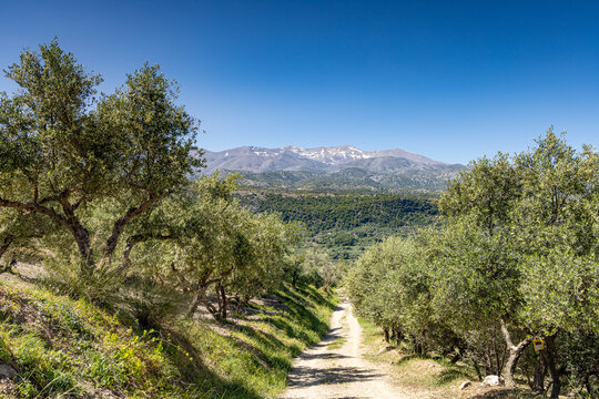 Mont Psiloritis depuis Axos (Gr&egrave;ce - Cr&egrave;te)