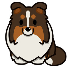 おすわりする垂れ耳のシェルティ(トライカラー)