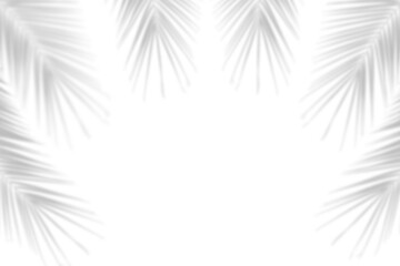 Realistic shadows of tropical leaves of a palm tree on white background. Summer design elements....