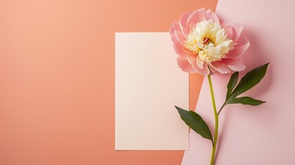 Blank paper card with copy space peony flower with sunlight shadows on peach background Top view flat lay minimalist aesthetic luxury bohemian business branding concept : Generative AI