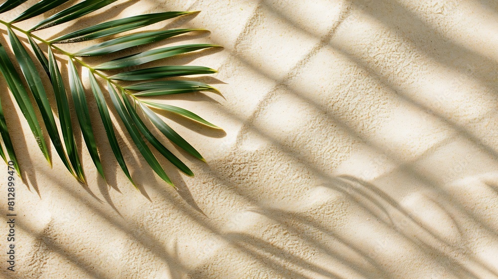 Aufkleber aesthetic palm leaf on shadow on sand background texture copy space minimal summer concept : generat