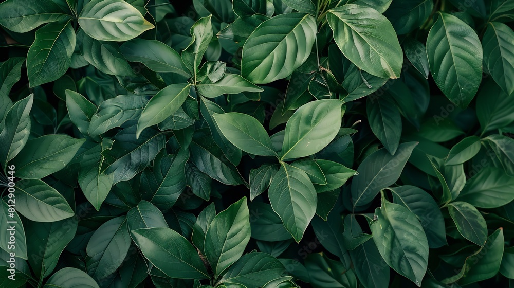 Poster creative layout made of green leaves flat lay nature background : generative ai