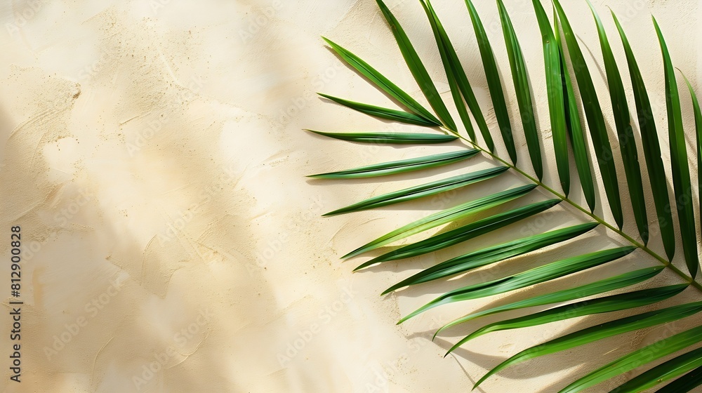 Poster Top view of green tropical leaf shadow on sand color background Flat lay Minimal summer concept with palm tree leaf Creative copyspace : Generative AI