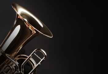 Tuba brass music instrument. Orchestra bass wind instrument euphonium