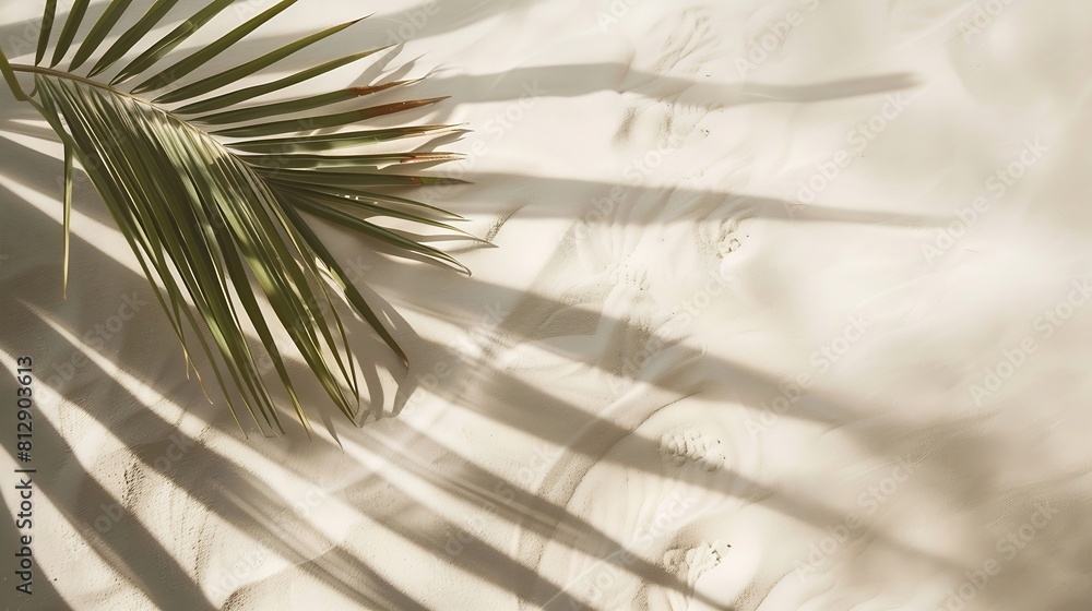 Aufkleber aesthetic palm leaf on shadow on sand background texture copy space minimal summer concept : generat