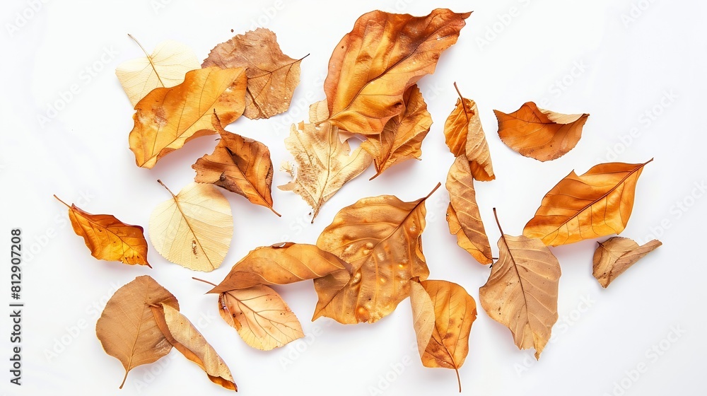 Poster autumn creative composition dried leaves on white background fall concept autumn background flat lay