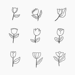 Tulip doodle line vector illustration