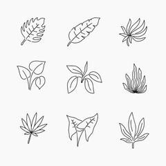 Leaf doodle line vector illustration