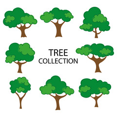 Set of trees in cartoon style