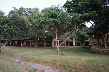garden with trees in Masai Mara
