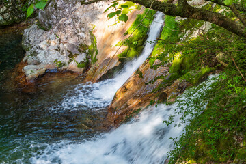 奈良県十津川村の笹の滝近くの渓流