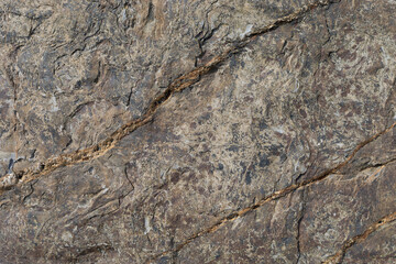 Stone texture worn by the wind and the sea of ​​the coast located on a wild beach.