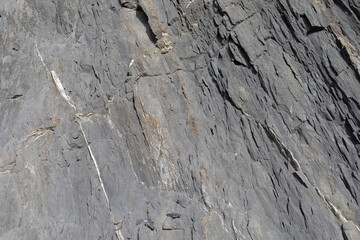 Stone texture worn by the wind and the sea of ​​the coast located on a wild beach.