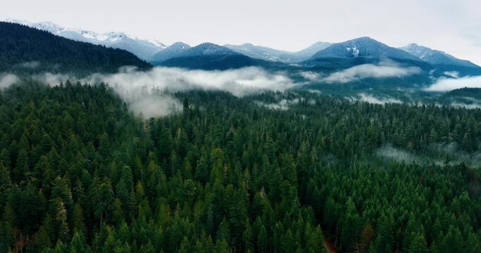 Mountain landscapes drone shot. American national park Mount Rainer aerial view.