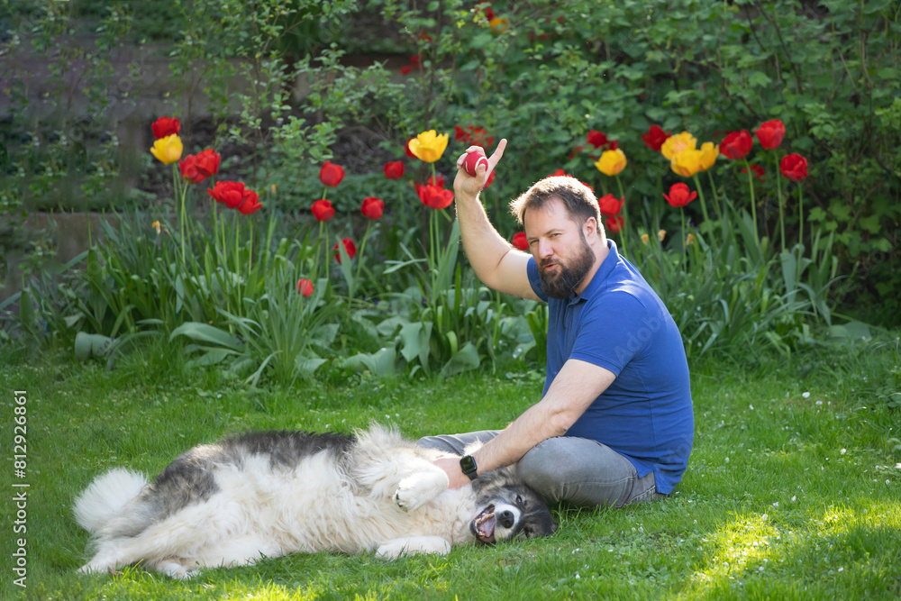 Wall mural happy man enjoying time with the dog in the garden