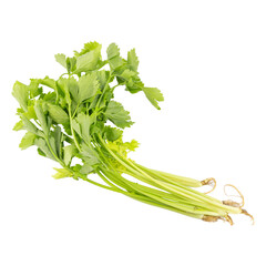Celery isolated on white background cutout. Fresh celery.