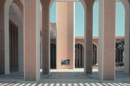 Study of columns 
