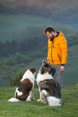 Happy dog and man playing outdoor