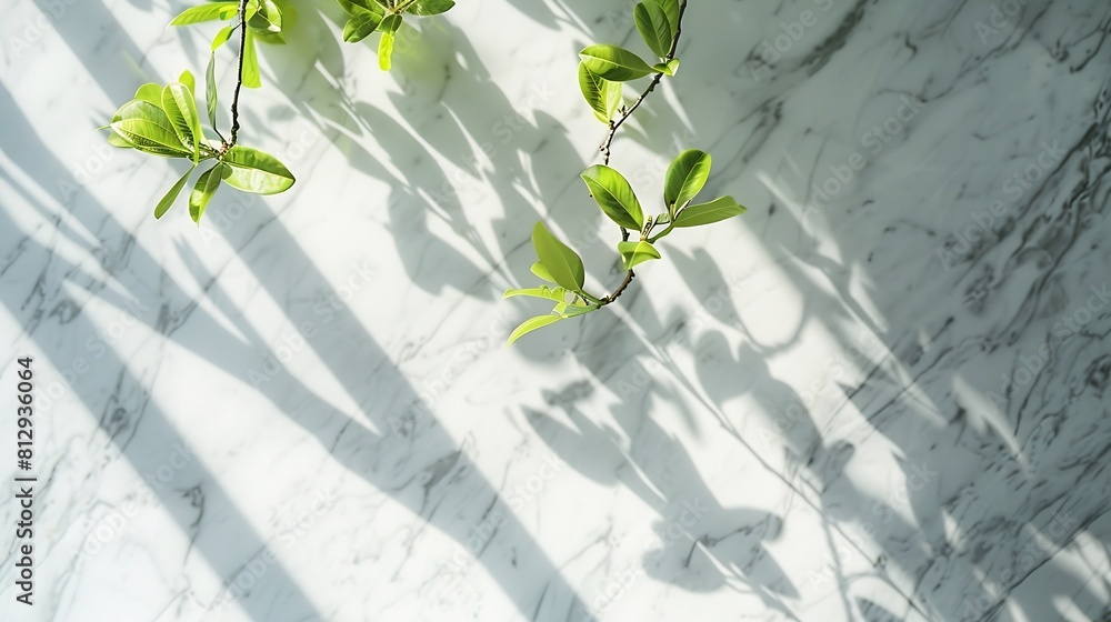 Poster spring sunlight in green branch of tree with shadow on white marble tile wall wood table copy space 