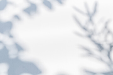Obraz premium Abstract natural tree leaves shadow on white wall background