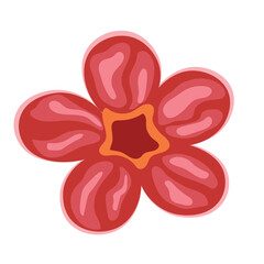 Tropical red flower vector illustration design