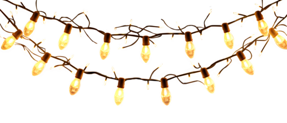 Festive warm glow string lights garland of light bulbs isolated png transparent background
